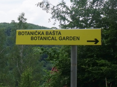 botanicka 1